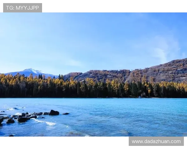 九游会官方登录遇到问题怎么办？常见故障排查与客服支持指南